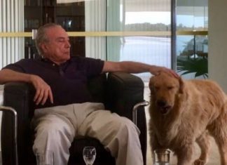 "Esse País tá uma putaria" – Segurança é afastada da guarda de Marcela Temer por não cuidar de cãozinho