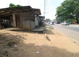 Autônomo é morto a tiros em banca de churrasco no bairro Tarumã, em Manaus