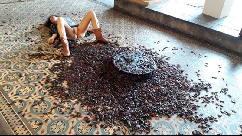 Es-Uma-Maluca-Casa-Franca-Brasil