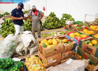 Governo do Amazonas lança edital para o Programa de Regionalização da Merenda Escolar