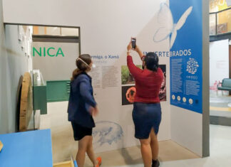 Programa do Governo do Amazonas apoia a criação de exposição digital da Casa da Ciência, do Inpa