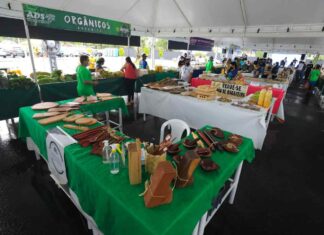 Governo do Amazonas vislumbra cenário positivo para feiras de produtos regionais em 2022