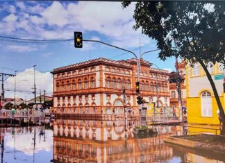 Casa das Artes lança nova temporada de exposições neste sábado (15/01)