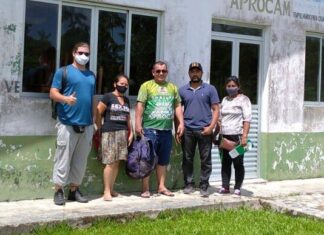Sedecti e Rede Rhisa planejam conectar cooperativas e associações agroextrativistas da Amazônia Legal
