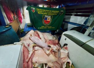 Na capital, PMAM apreende quase 3 toneladas de pescado ilegal
