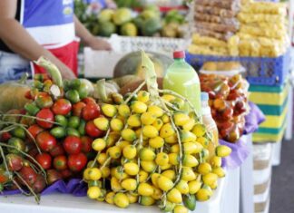 Pupunha e tucumã são as frutas em alta nas Feiras da ADS