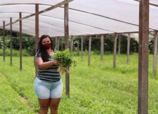 Reserva de Desenvolvimento Sustentável do Juma receberá mutirão de regularização ambiental