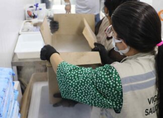 Governo do Amazonas recebe mais 68.600 doses de vacina contra Covid-19 nesta quinta-feira (10/02)