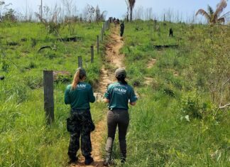 Dia Internacional das Mulheres e Meninas na Ciência: Ipaam destaca a atuação feminina
