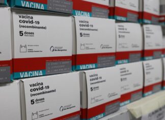 Nova remessa: Amazonas recebe 99,6 mil doses de vacina contra Covid-19 nesta quarta-feira (23/02)