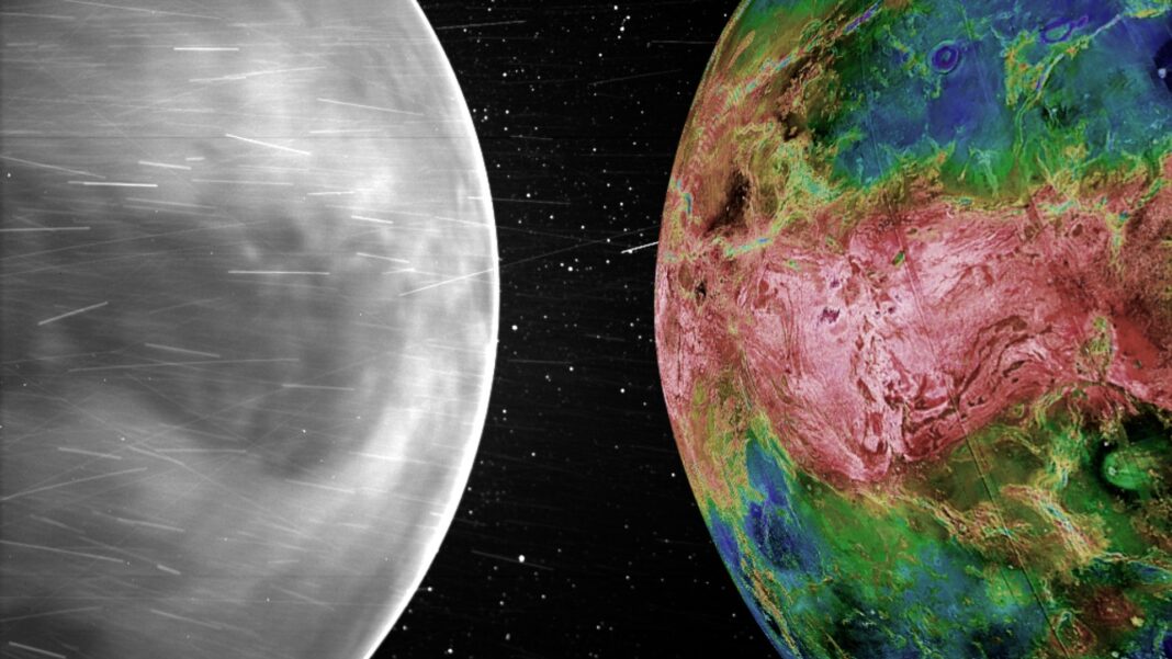 venus_comparacao_00