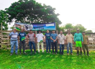 No Amazonas, 54,7% da vacinação contra febre aftosa competem a cinco municípios