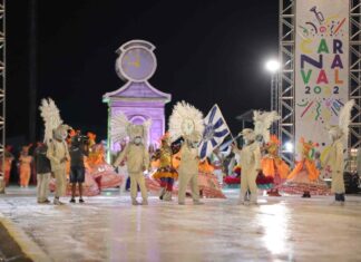 Live de Carnaval: artistas amazonenses festejam retorno à avenida, após dois anos