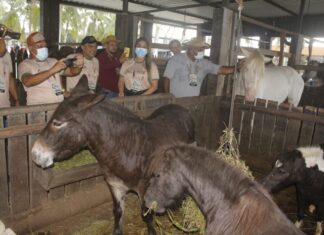 Secretários de Agricultura do Amazonas participam de prática de educação agroambiental, em Iranduba