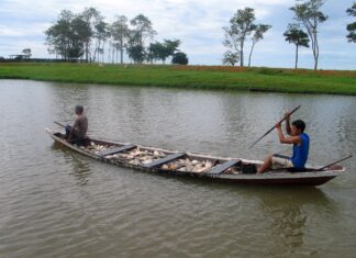 Ipaam anuncia final do período de defeso no estado do Amazonas