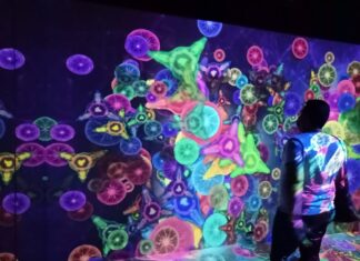 Exposição tecnológica interativa gratuita chega às últimas semanas em Shopping de Manaus