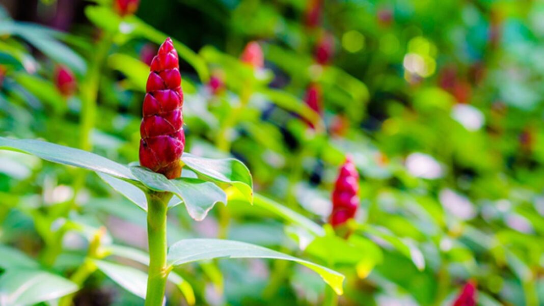 2022-04-01 at 11.31.57