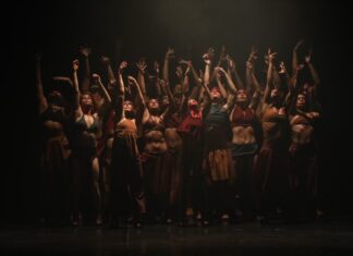 Corpo de Dança do Amazonas divulga programação comemorativa ao mês da Dança