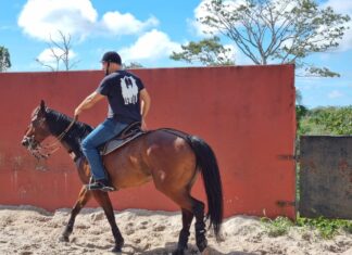 Governo do Amazonas apoia retomada dos esportes equestres no Amazonas