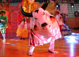 Boi Corre Campo realiza programação alusiva aos 80 anos do Bumbá