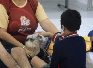 Sejusc retorna com Intervenção Assistida por Animais para pessoas com Transtorno do Espectro Autista