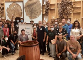 Plenária do Plano Municipal de Cultura (PMC) propõe ações e planos para a política cultural