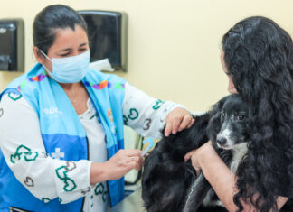 Prefeitura promove ‘Dia D’ de multivacinação em Manaus com 99 pontos de imunização