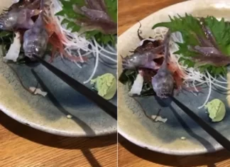 Peixe servido em restaurante japonês morde hashi e vídeo viraliza