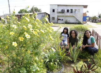 Em Codajás, professora da rede estadual utiliza educação ambiental e transforma lixeira viciada em jardim