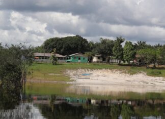 Em três anos, acordos de pesca no Amazonas aumentam mais de 40%; entenda importância do regulamento