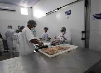 Unidade de beneficiamento de pescado é primeiro estabelecimento a obter registro no Sisbi-POA