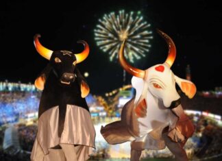 Pessoas com deficiência e acompanhantes terão acesso gratuito ao 55º Festival Folclórico de Parintins