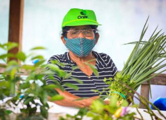 Selo de produção da Agricultura Familiar é instituído no Amazonas