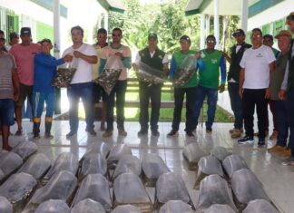 Governo do Amazonas entrega 50 mil alevinos de tambaqui para piscicultores da região do Juruá