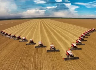 Agronegócio: tecnologia reduz a inadimplência e facilita acesso ao crédito