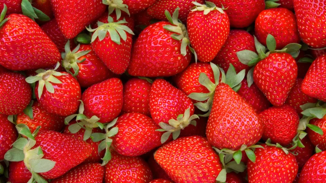 strawberries-iStock-477834644