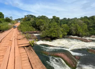 Após quase 12 horas de mergulho, buscas por adolescente que caiu de ponte são suspensas em RO
