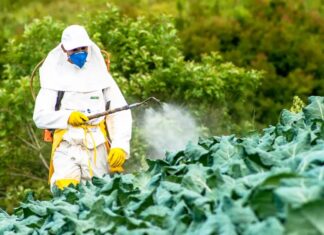 Adaf alerta produtores sobre proibição de agrotóxicos com o princípio ativo Carbendazim