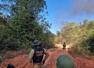 PF atua na repressão de extração de madeira e de garimpos clandestinos em terras indígenas