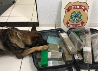 PF prende passageira com tabletes de cocaína na bagagem