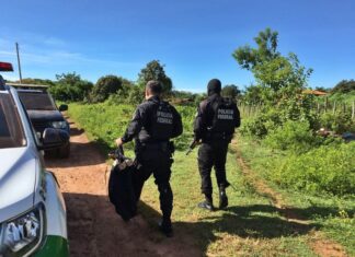 Operação Desmonte 5 combate os crimes de lavagem de dinheiro, organização criminosa e tráfico de drogas