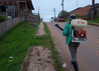 Amazonas tem redução de 64% de casos notificados de dengue