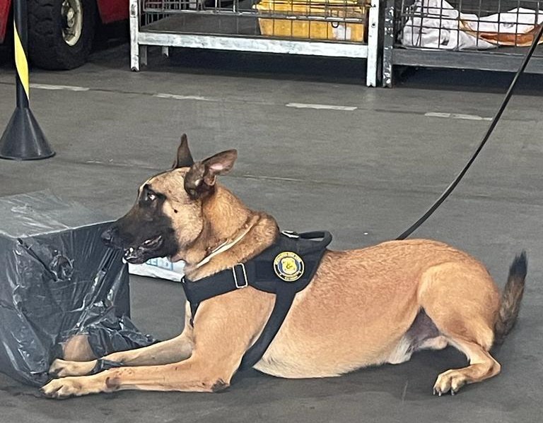 6ad738ee-99ea-4b2f-bcdd-5369bb246161