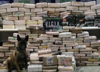 SSP-AM e PMAM apreendem mais de 700 quilos de drogas durante operação Hórus na calha do rio Negro