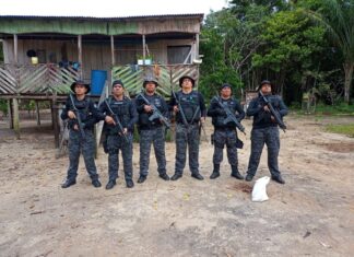 Base Arpão: agentes apreendem arma de fogo e animais silvestres