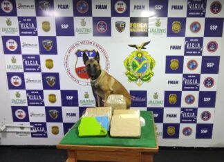 Agentes da Base Arpão e do 5º BPM apreendem drogas em embarcação