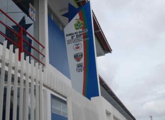 PC-AM prende mulher por prática de furtos ocorridos no Pará e Amazonas