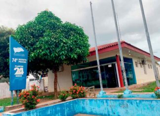 Em Borba, PC-AM prende homem com base na Lei Maria da Penha e tráfico de drogas