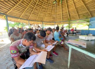 Governo do Estado inicia capacitação em boas práticas de manejo do açaí para 50 famílias de comunidade indígena, em Benjamin Constant