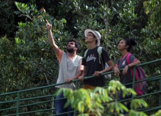 Polícia Militar apreende espingarda semiautomática entre outros armamentos, na madrugada deste sábado